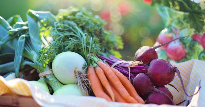 Helping Your Family’s Mental Health with Food