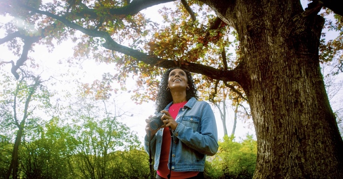 Everything You Need to Know About EMDR Therapy image